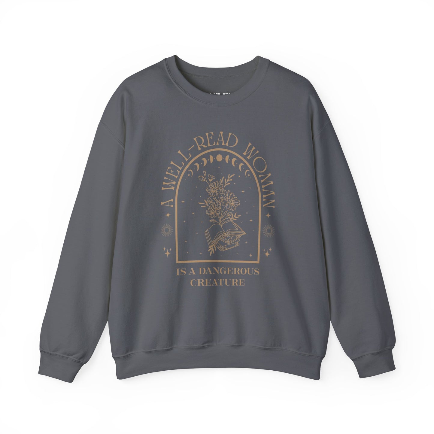 A Well-Read Woman Sweatshirt | Unisex Heavy Blend™ Crewneck for Book Lovers