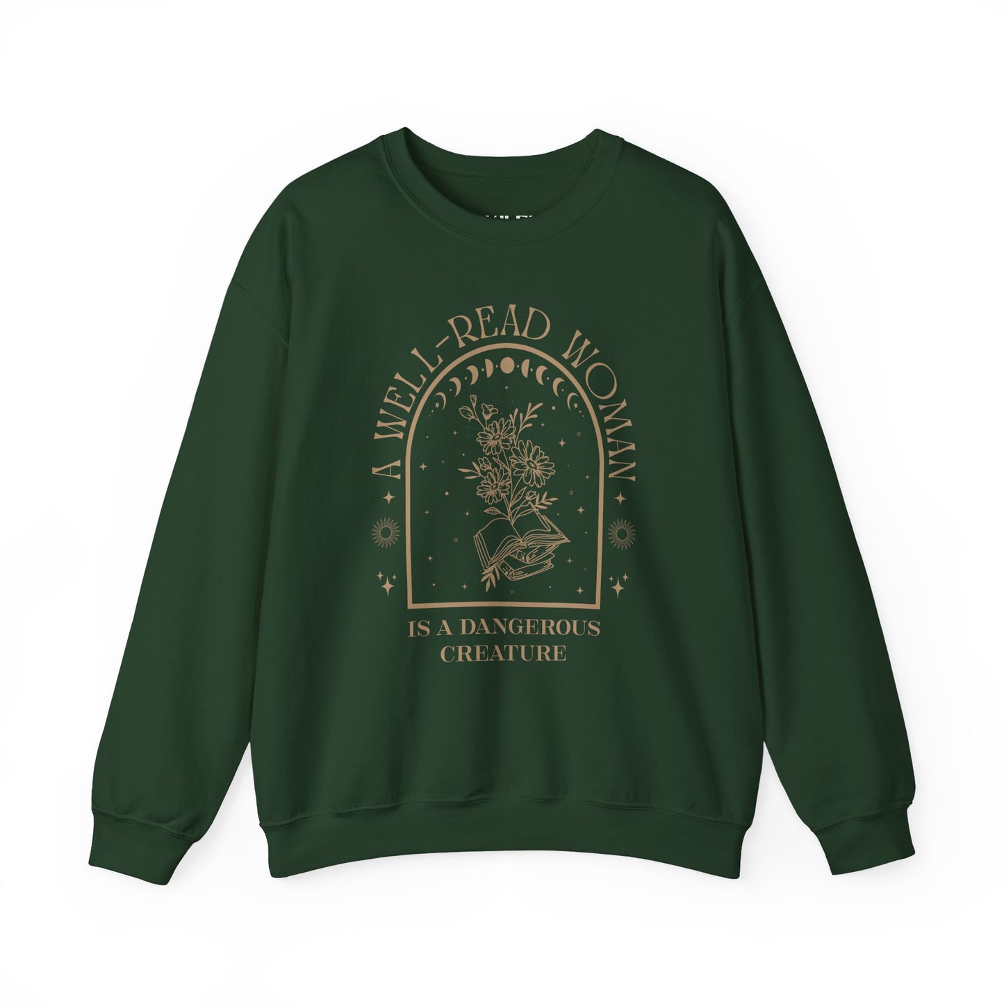 A Well-Read Woman Sweatshirt | Unisex Heavy Blend™ Crewneck for Book Lovers