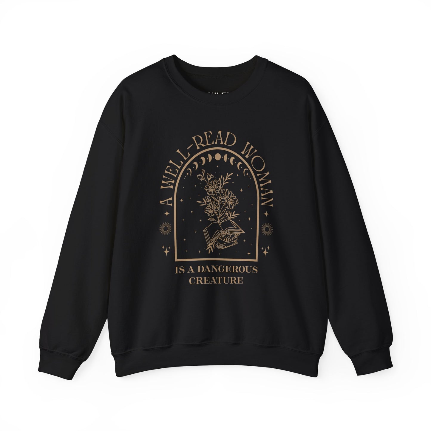 A Well-Read Woman Sweatshirt | Unisex Heavy Blend™ Crewneck for Book Lovers