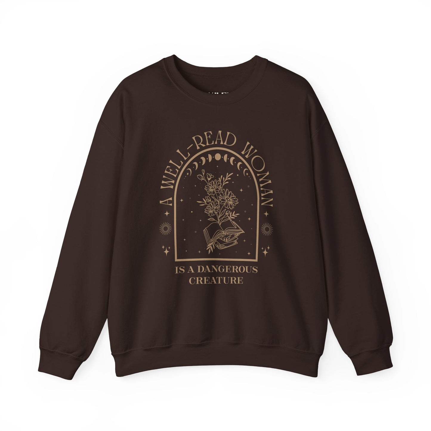 A Well-Read Woman Sweatshirt | Unisex Heavy Blend™ Crewneck for Book Lovers