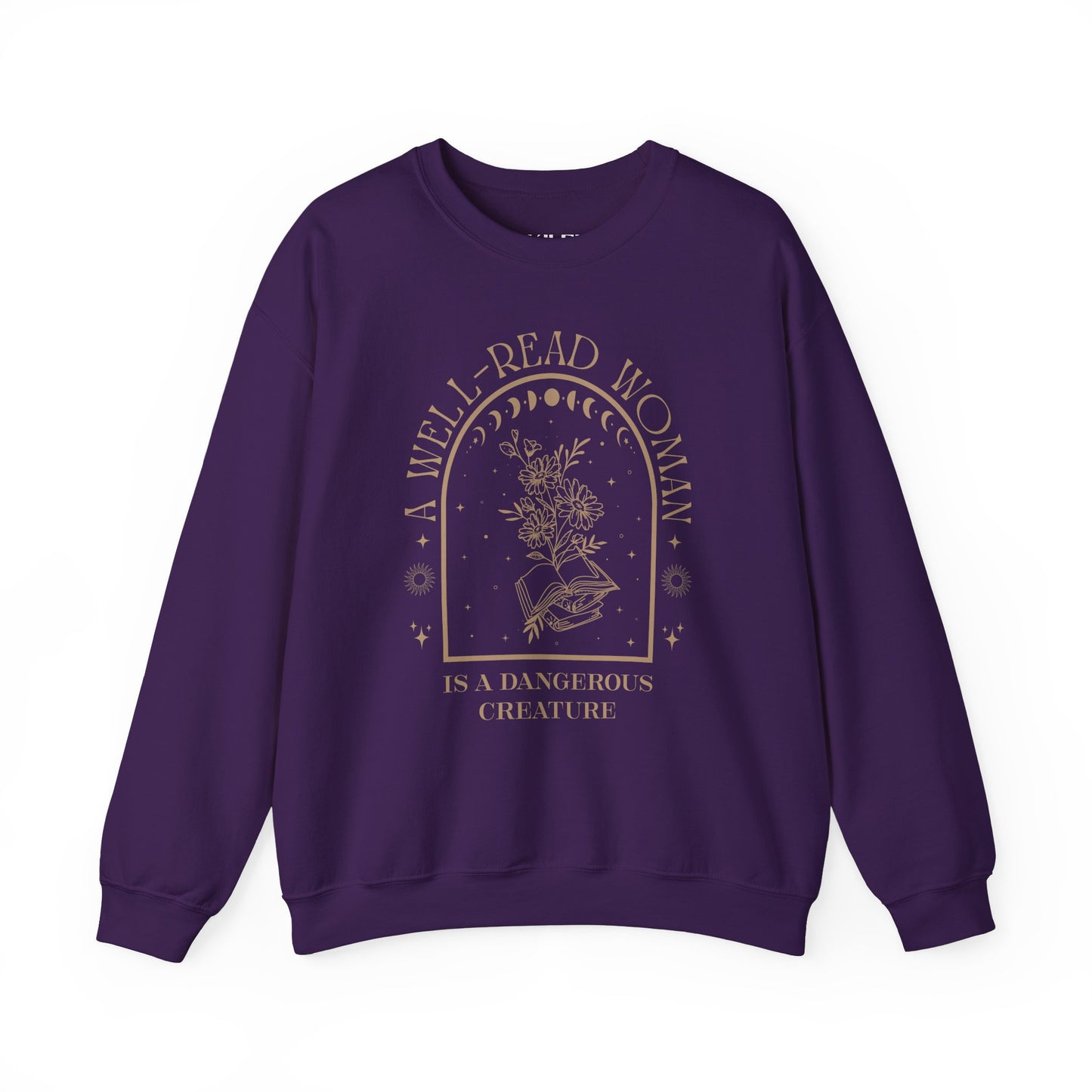 A Well-Read Woman Sweatshirt | Unisex Heavy Blend™ Crewneck for Book Lovers